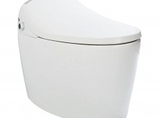 Wi-Fi智能马桶坐便器 App远程控制 多种清洗模式 TY1866GW